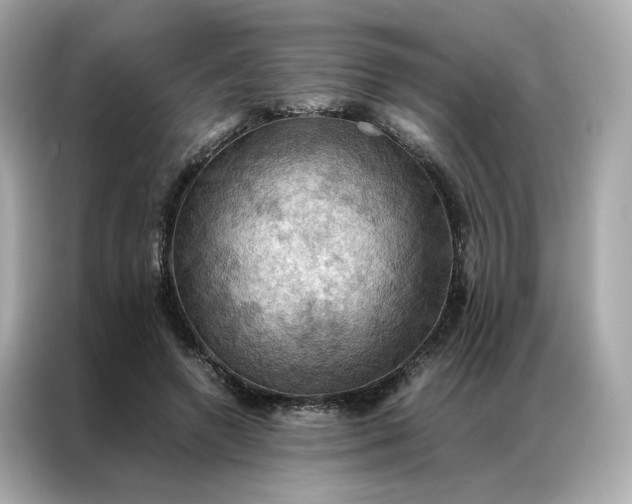 X0000086940546200704301139