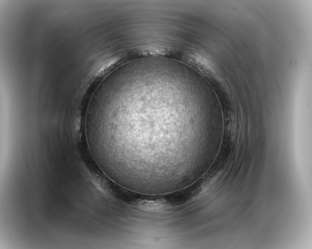 X0000086940548200704301139