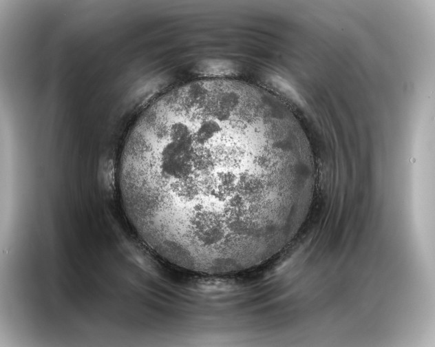 X0000086940549200704301139