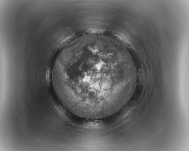 X0000086940550200704301139