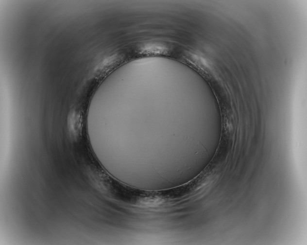 X0000086940551200704301139