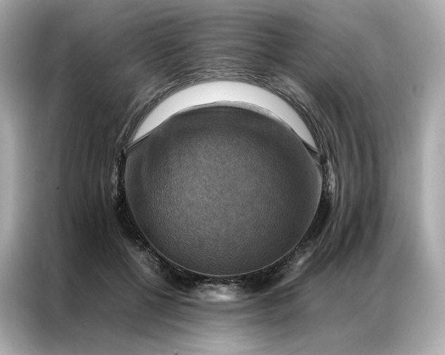 X0000086940552200704301139