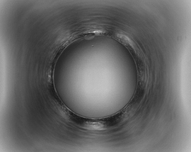 X0000086940553200704301139