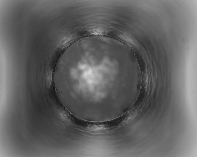 X0000086940554200704301139