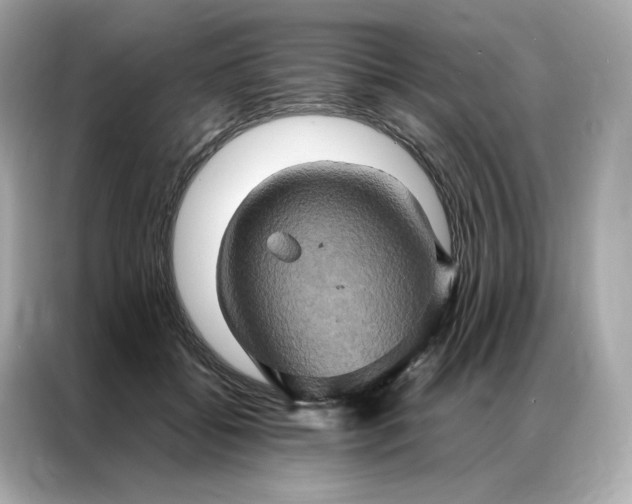 X0000086940556200704301139