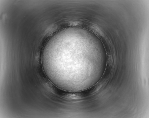 X0000086940557200704301139