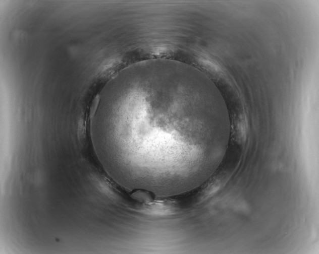 X0000086940558200704301139