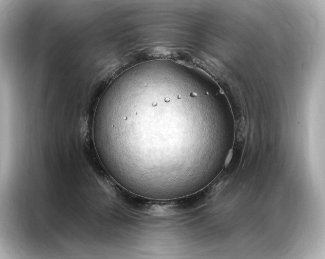 X0000086940560200704301139