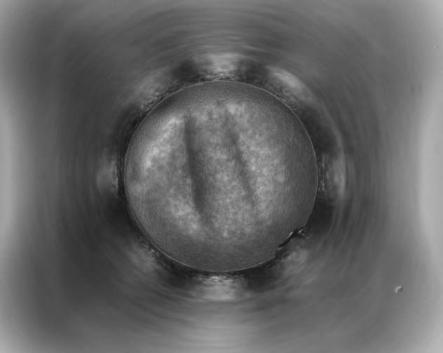 X0000086940562200704301139
