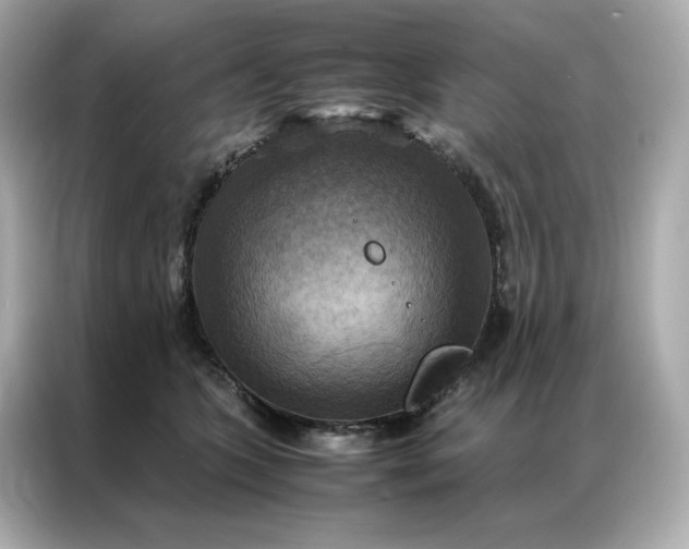 X0000086940563200704301139