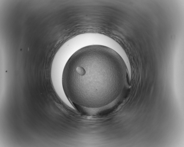 X0000086940564200704301139