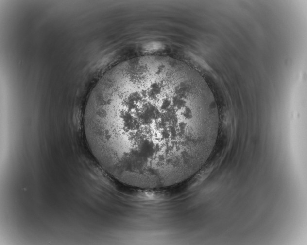 X0000086940565200704301139