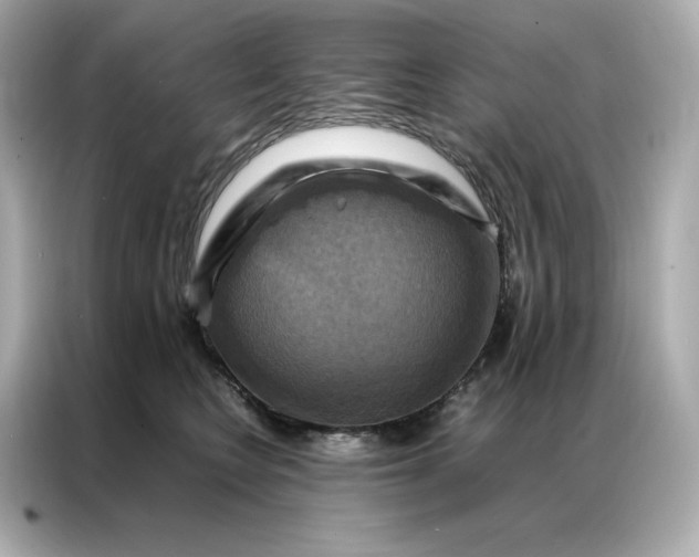 X0000086940566200704301139