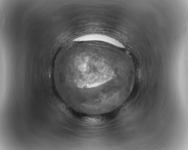 X0000086940567200704301139