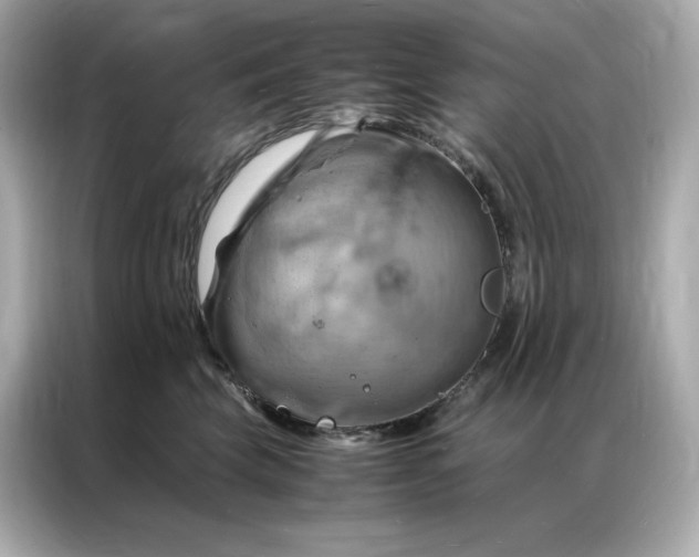 X0000086940569200704301139