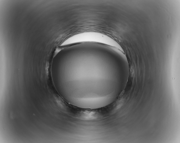 X0000086940570200704301139