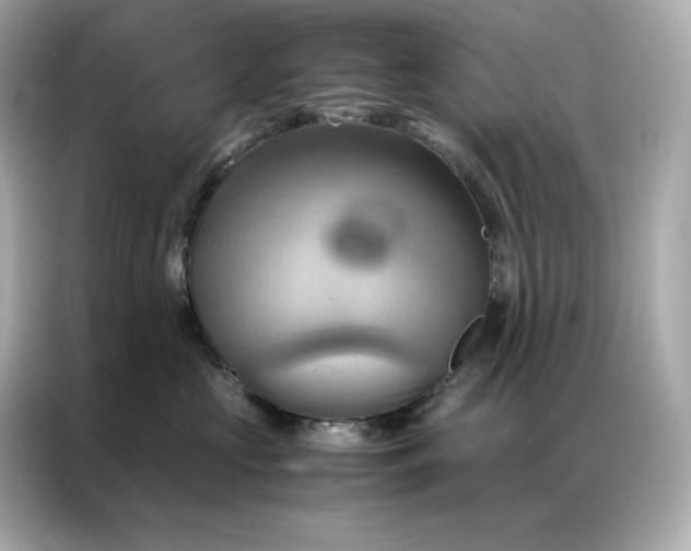 X0000086940573200704301139