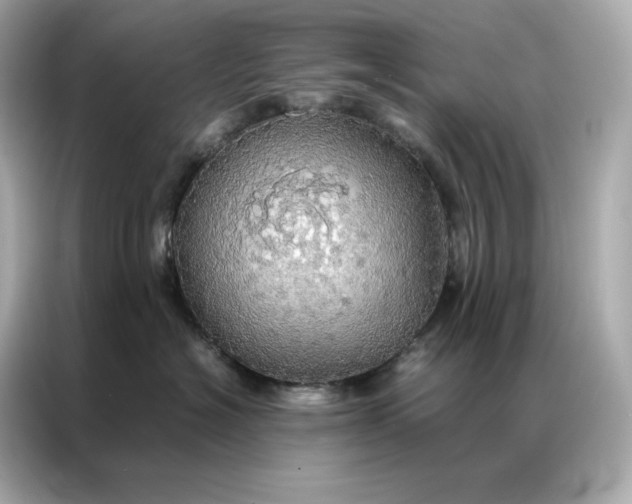 X0000086940574200704301139