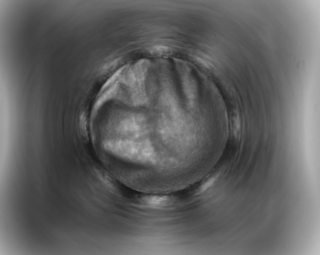 X0000086940575200704301139