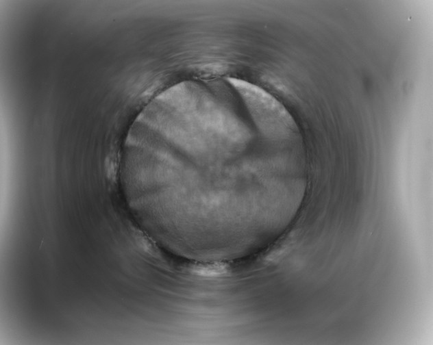 X0000086940576200704301139