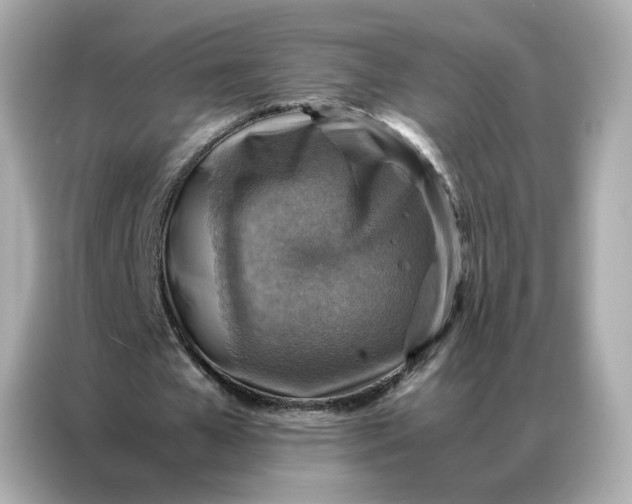 X0000086940577200704301139