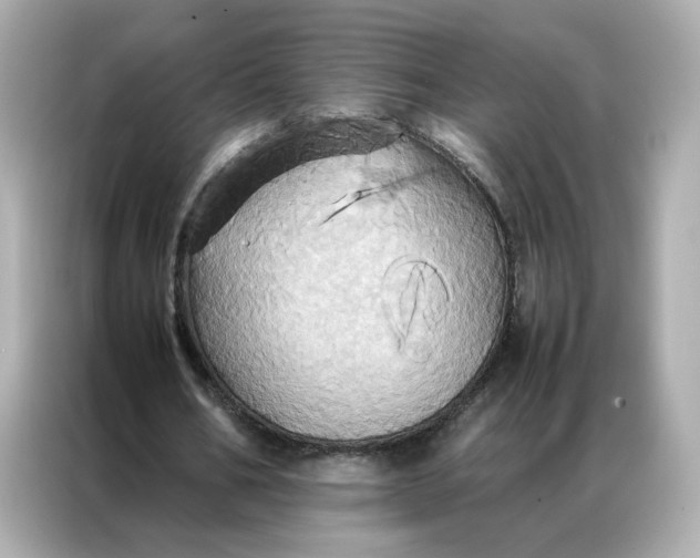 X0000086940578200704301139