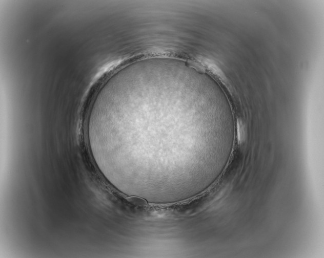 X0000086940579200704301139