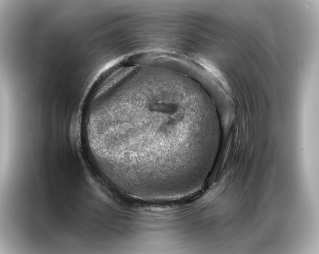 X0000086940580200704301139