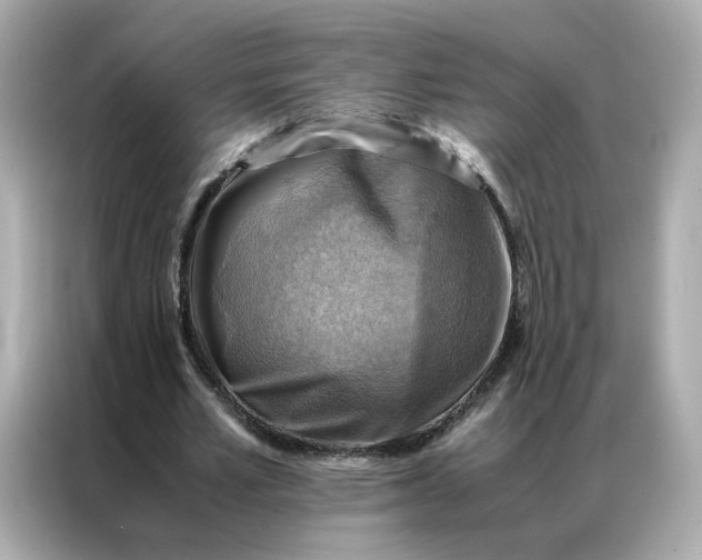 X0000086940581200704301139