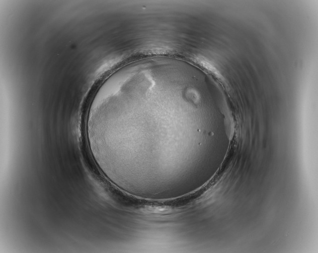 X0000086940582200704301139