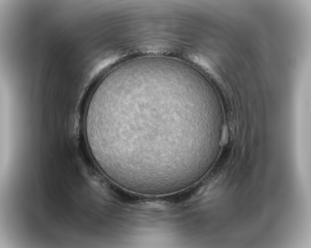 X0000086940583200704301139