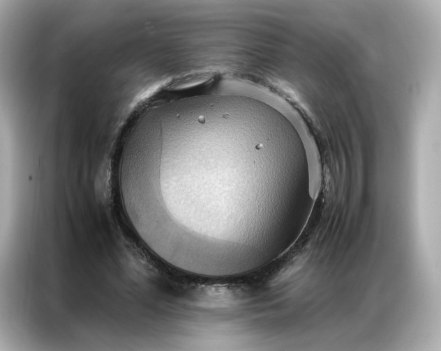 X0000086940588200704301139