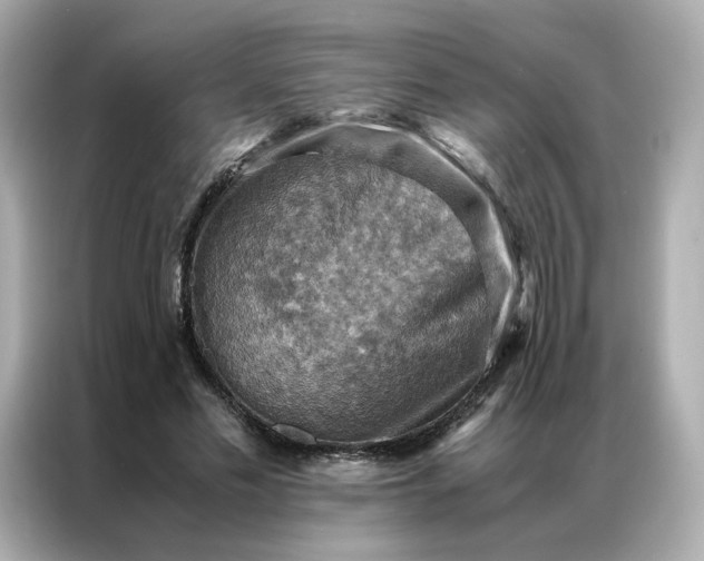 X0000086940589200704301139