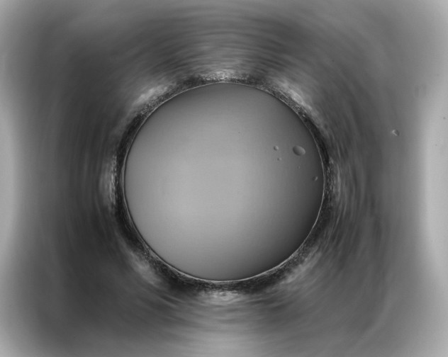 X0000086940590200704301139