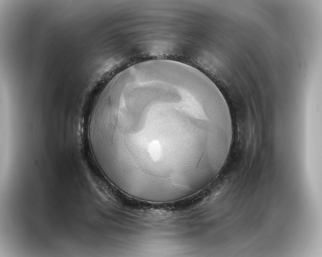 X0000086940592200704301139