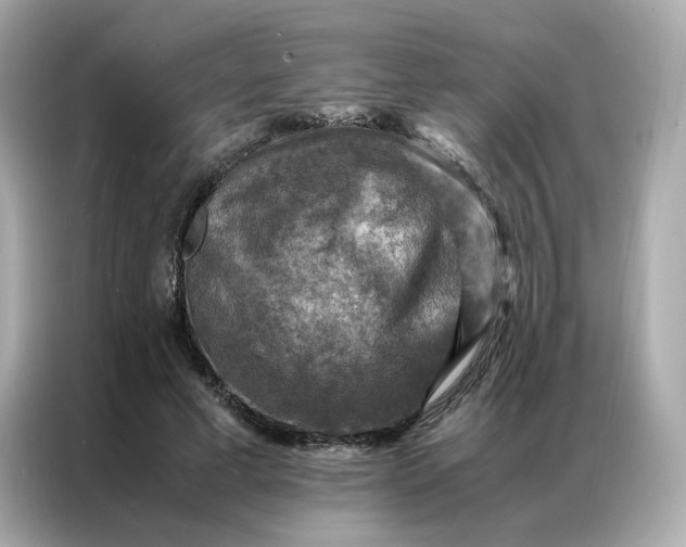 X0000086940593200704301139