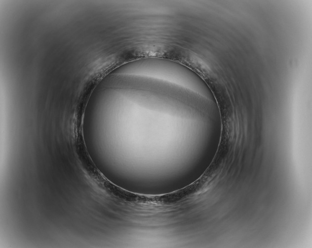 X0000086940594200704301139