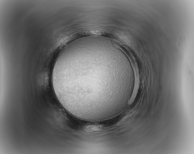 X0000086940595200704301139