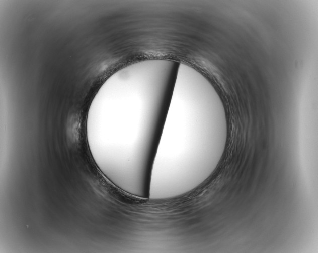 X0000086940596200704301139