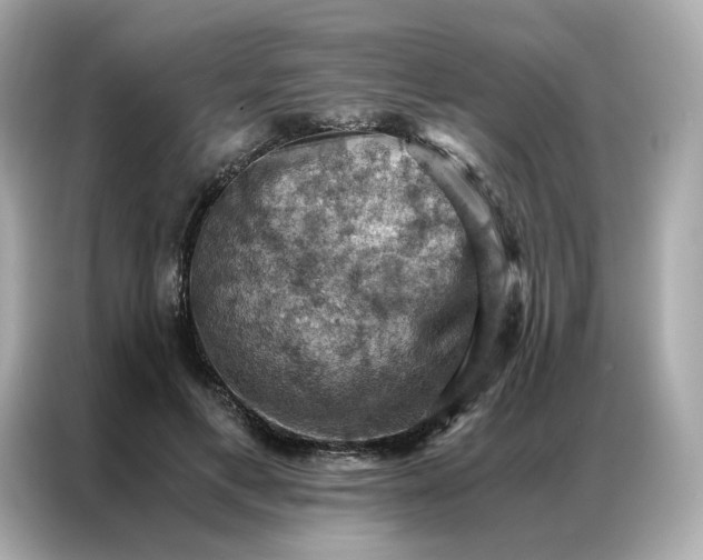 X0000086940597200704301139