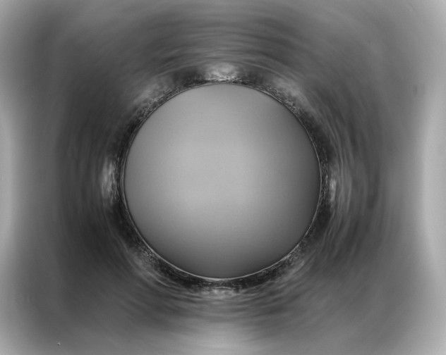 X0000086940598200704301139