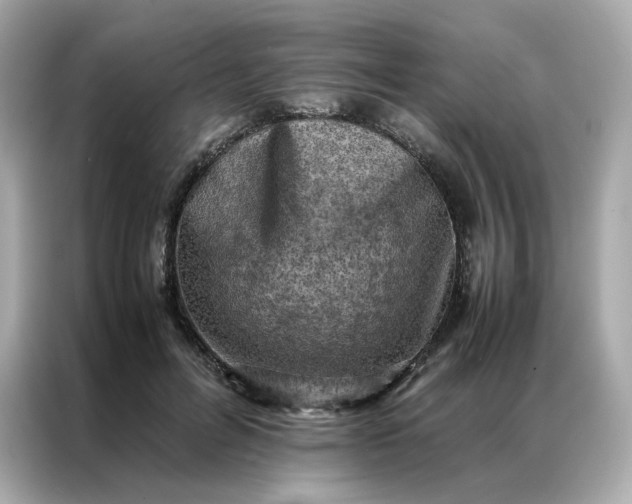 X0000086940600200704301139