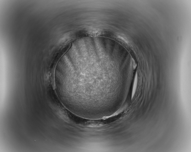 X0000086940601200704301138