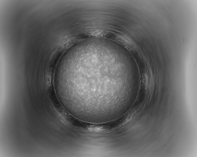 X0000086940602200704301138