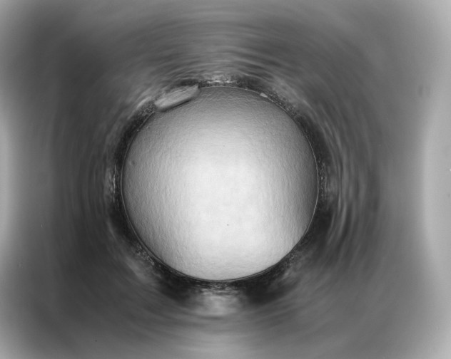 X0000086940603200704301138