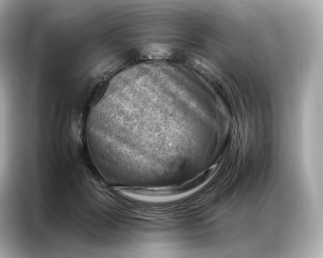 X0000086940604200704301138