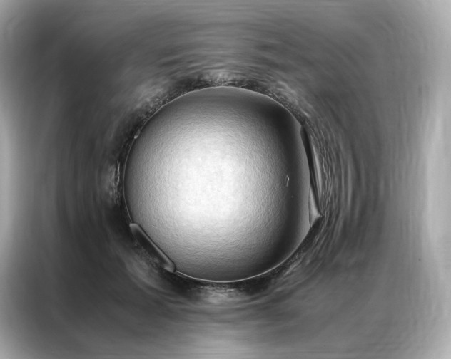 X0000086940605200704301138
