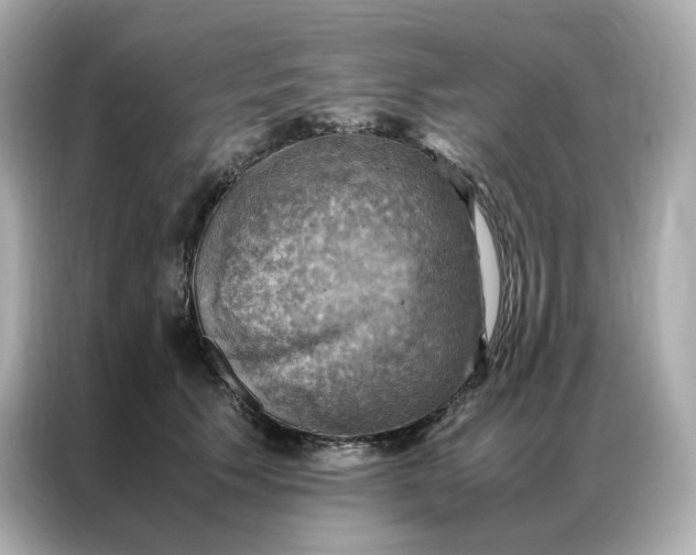 X0000086940609200704301138