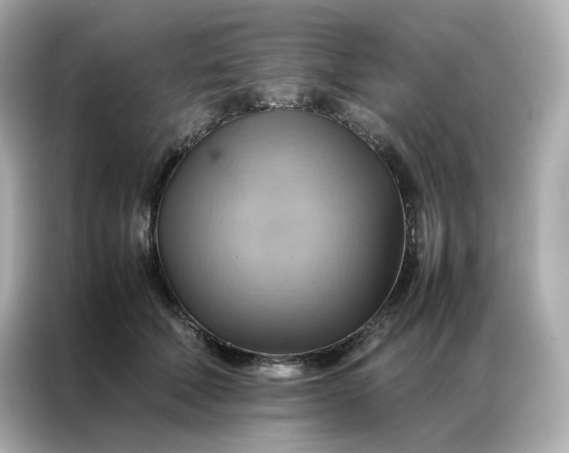 X0000086940610200704301138