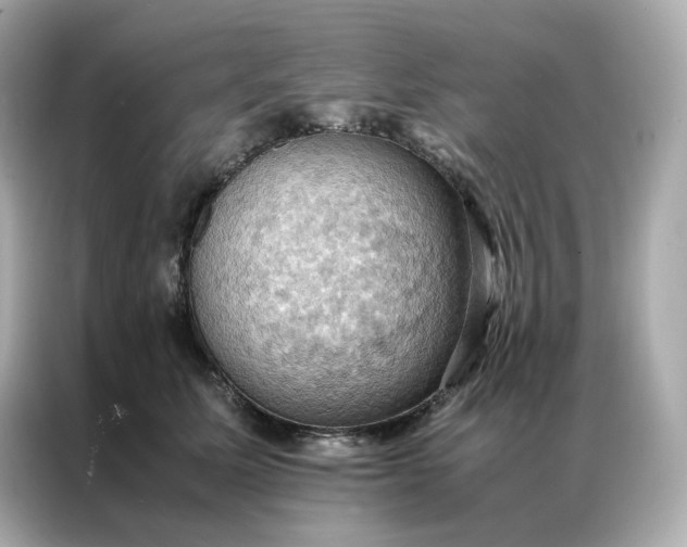 X0000086940611200704301138
